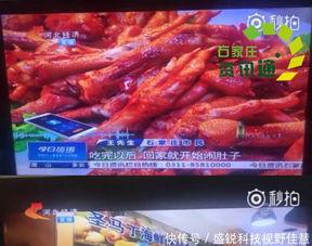 新闻爆料假牛羊肉餐馆,假牛羊肉餐馆横行,食品安全谁来守护? 第2张 新闻爆料假牛羊肉餐馆,假牛羊肉餐馆横行,食品安全谁来守护? 第2张